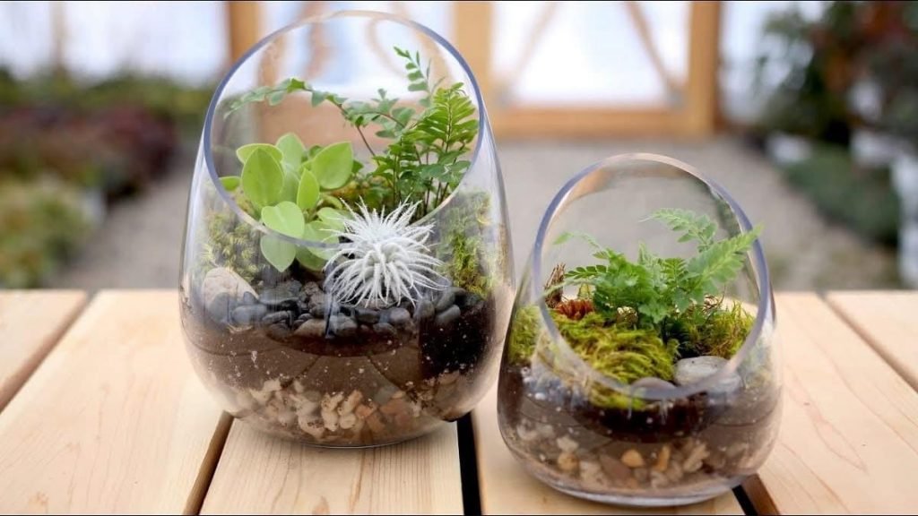 WhatsApp Image 2025-07-26 at 16.57.41 (6)