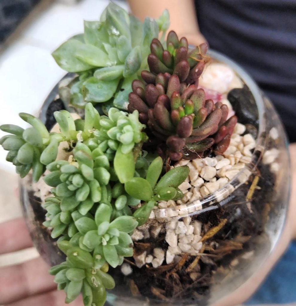 WhatsApp Image 2025-07-26 at 16.57.41